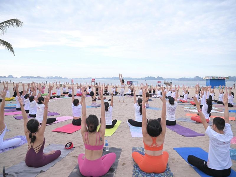 Đăng cai tổ chức các chương trình cho cộng đồng yoga, retreat, đêm nhạc Kritan mantra, festival Yoga...